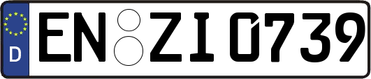 EN-ZI0739