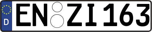 EN-ZI163