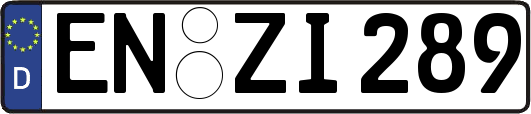 EN-ZI289