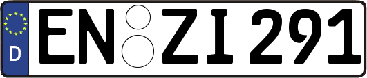 EN-ZI291