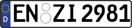 EN-ZI2981