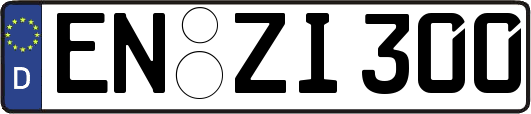 EN-ZI300