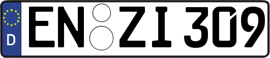 EN-ZI309