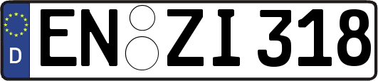 EN-ZI318