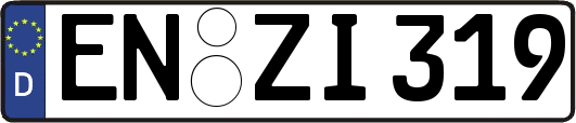 EN-ZI319