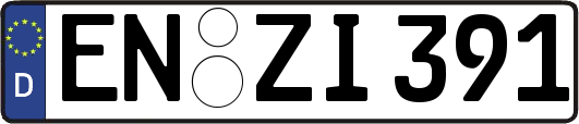 EN-ZI391