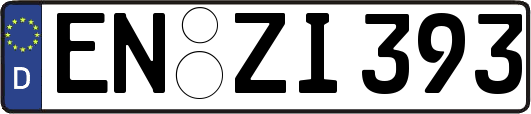 EN-ZI393