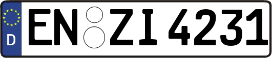 EN-ZI4231