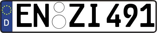 EN-ZI491