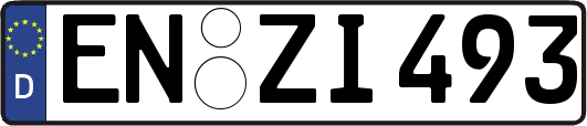 EN-ZI493
