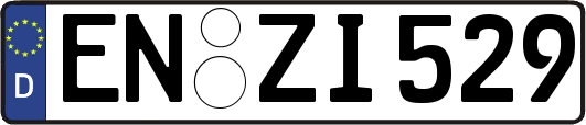 EN-ZI529