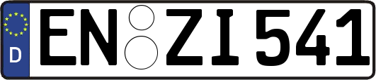 EN-ZI541