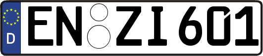 EN-ZI601