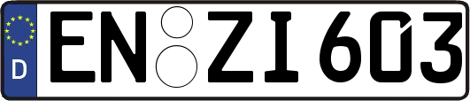 EN-ZI603