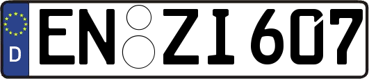 EN-ZI607