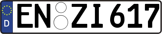 EN-ZI617