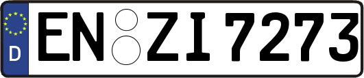 EN-ZI7273