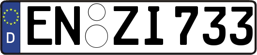 EN-ZI733