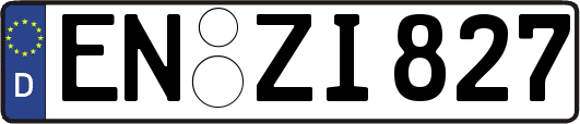 EN-ZI827