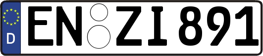 EN-ZI891