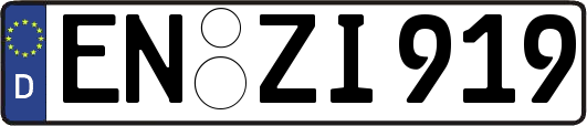 EN-ZI919
