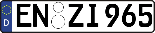 EN-ZI965