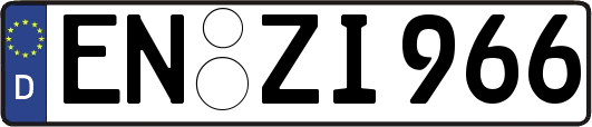 EN-ZI966