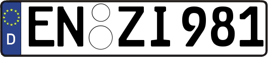 EN-ZI981