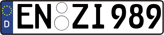 EN-ZI989