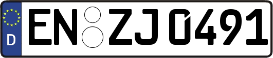 EN-ZJ0491