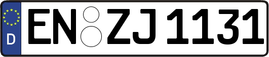 EN-ZJ1131