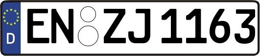 EN-ZJ1163