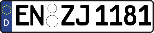 EN-ZJ1181