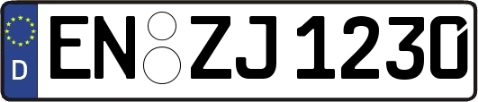 EN-ZJ1230