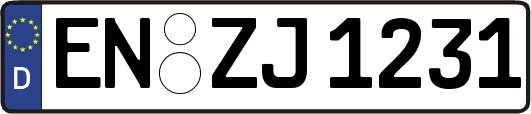 EN-ZJ1231