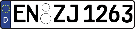 EN-ZJ1263
