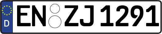 EN-ZJ1291