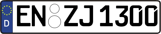 EN-ZJ1300