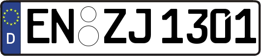 EN-ZJ1301