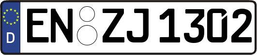 EN-ZJ1302