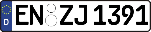 EN-ZJ1391