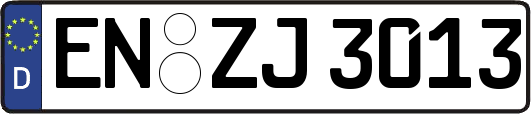 EN-ZJ3013