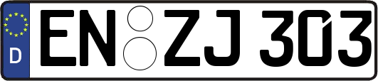 EN-ZJ303