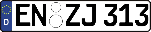 EN-ZJ313