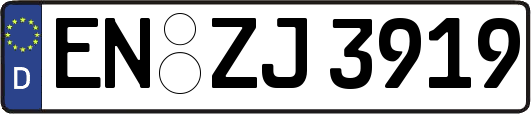 EN-ZJ3919