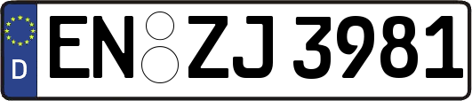 EN-ZJ3981