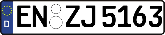 EN-ZJ5163