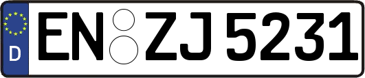 EN-ZJ5231