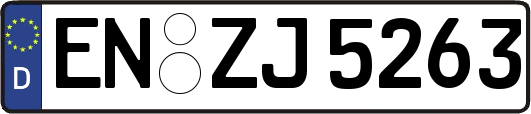 EN-ZJ5263