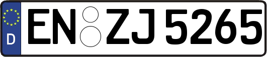 EN-ZJ5265